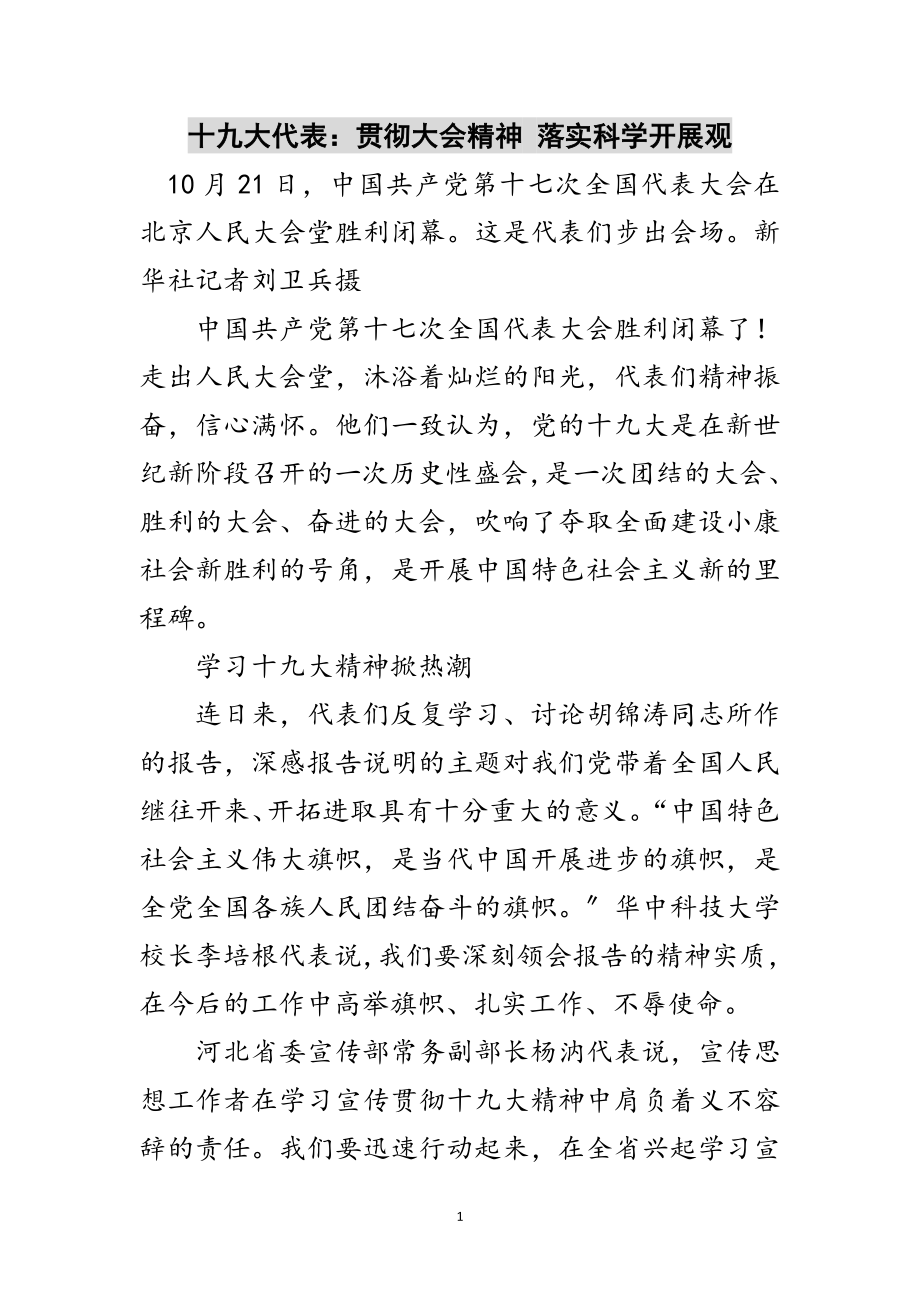 2023年十九大代表：贯彻大会精神 落实科学发展观范文.doc_第1页