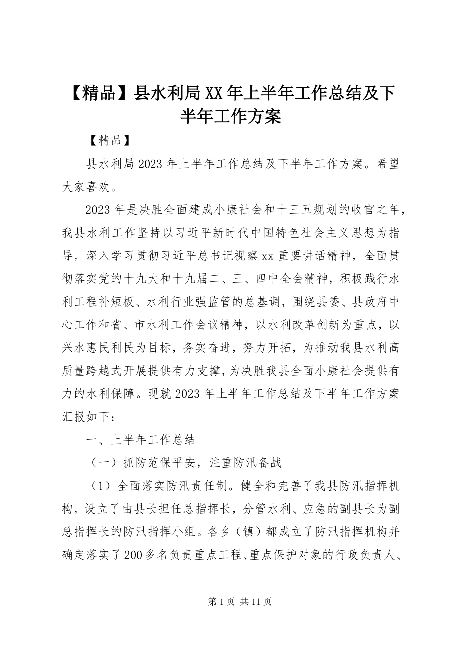 2023年县水利局上半年工作总结及下半年工作计划新编.docx_第1页