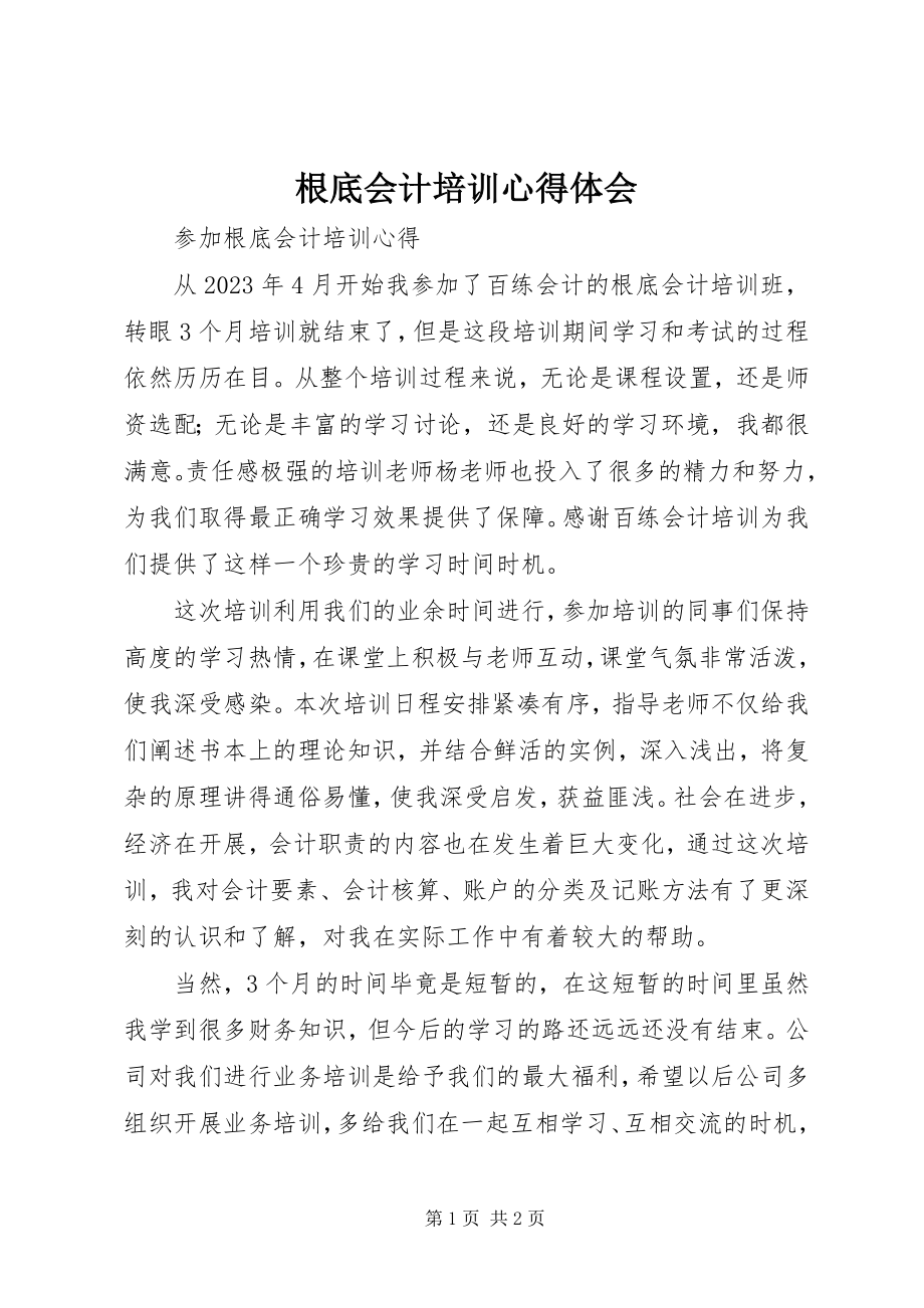 2023年基础会计培训心得体会.docx_第1页