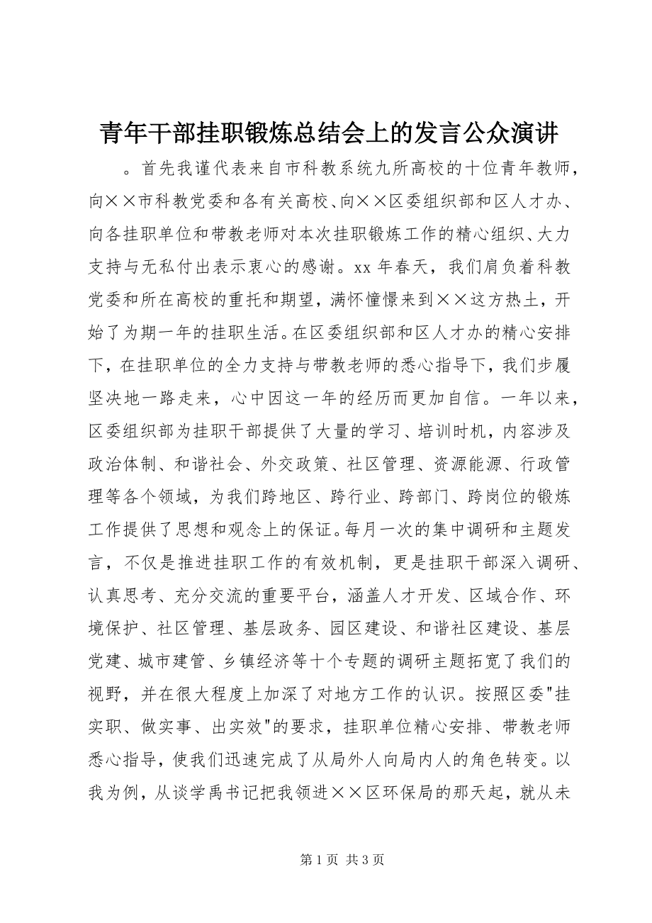 2023年青年干部挂职锻炼总结会上的讲话公众演讲.docx_第1页