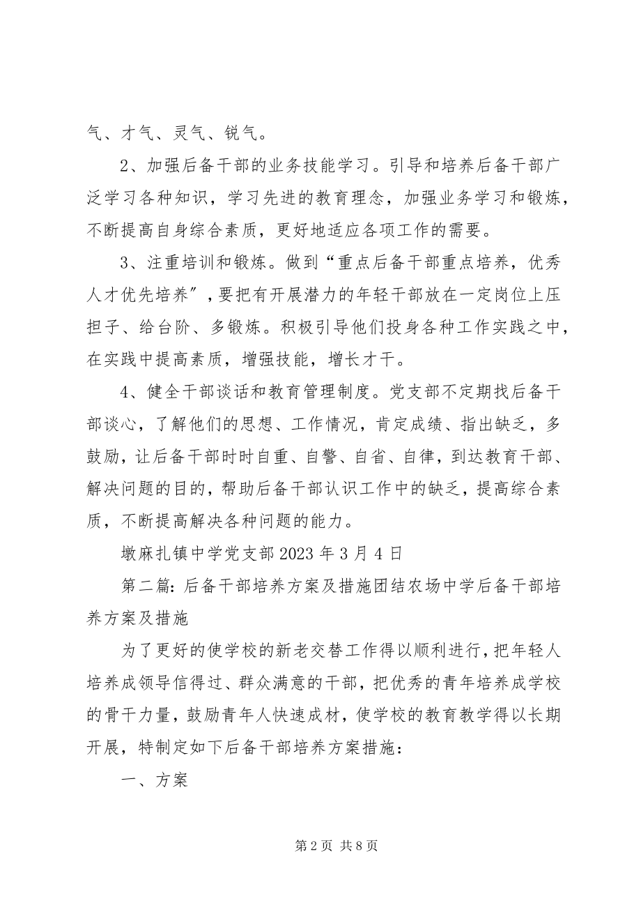 2023年XX县区墩麻扎镇中学后备干部培养计划及措施新编.docx_第2页