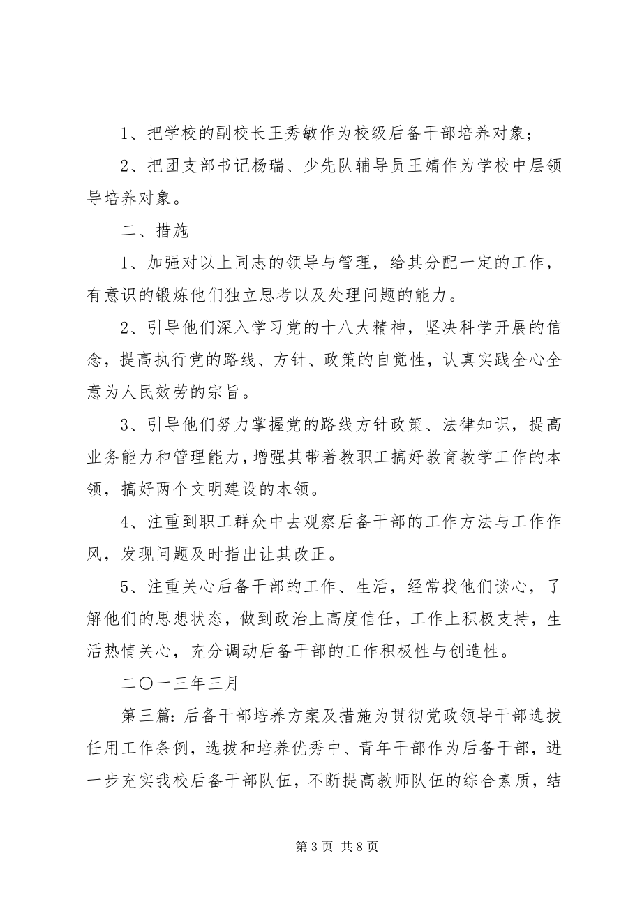 2023年XX县区墩麻扎镇中学后备干部培养计划及措施新编.docx_第3页