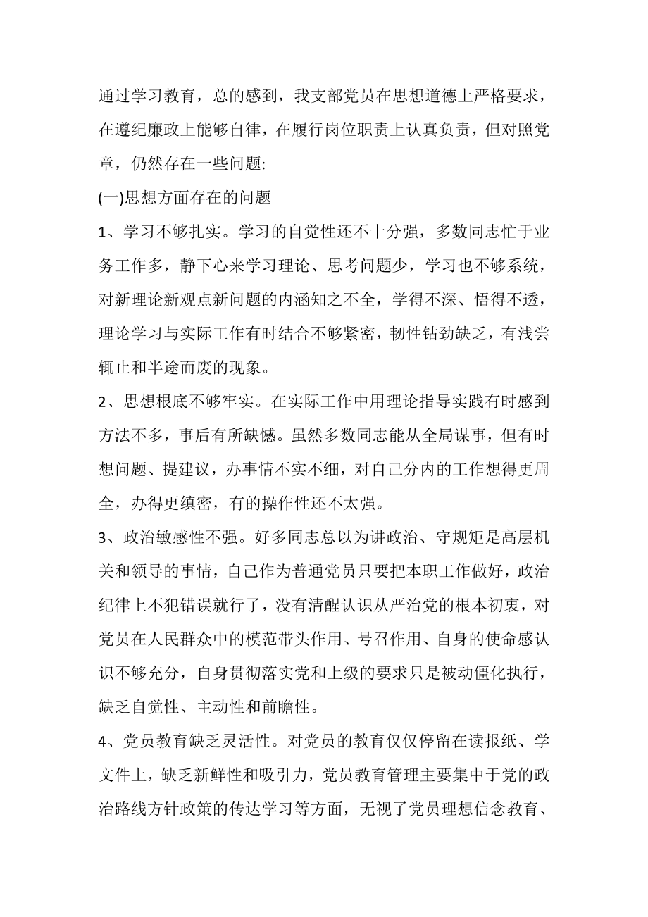 2023年党支部班子四讲四有对照检查材料范文,个人总结.doc_第2页