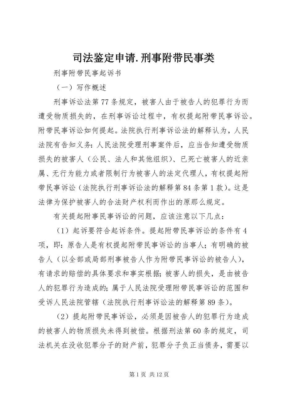 2023年司法鉴定申请刑事附带民事类.docx_第1页