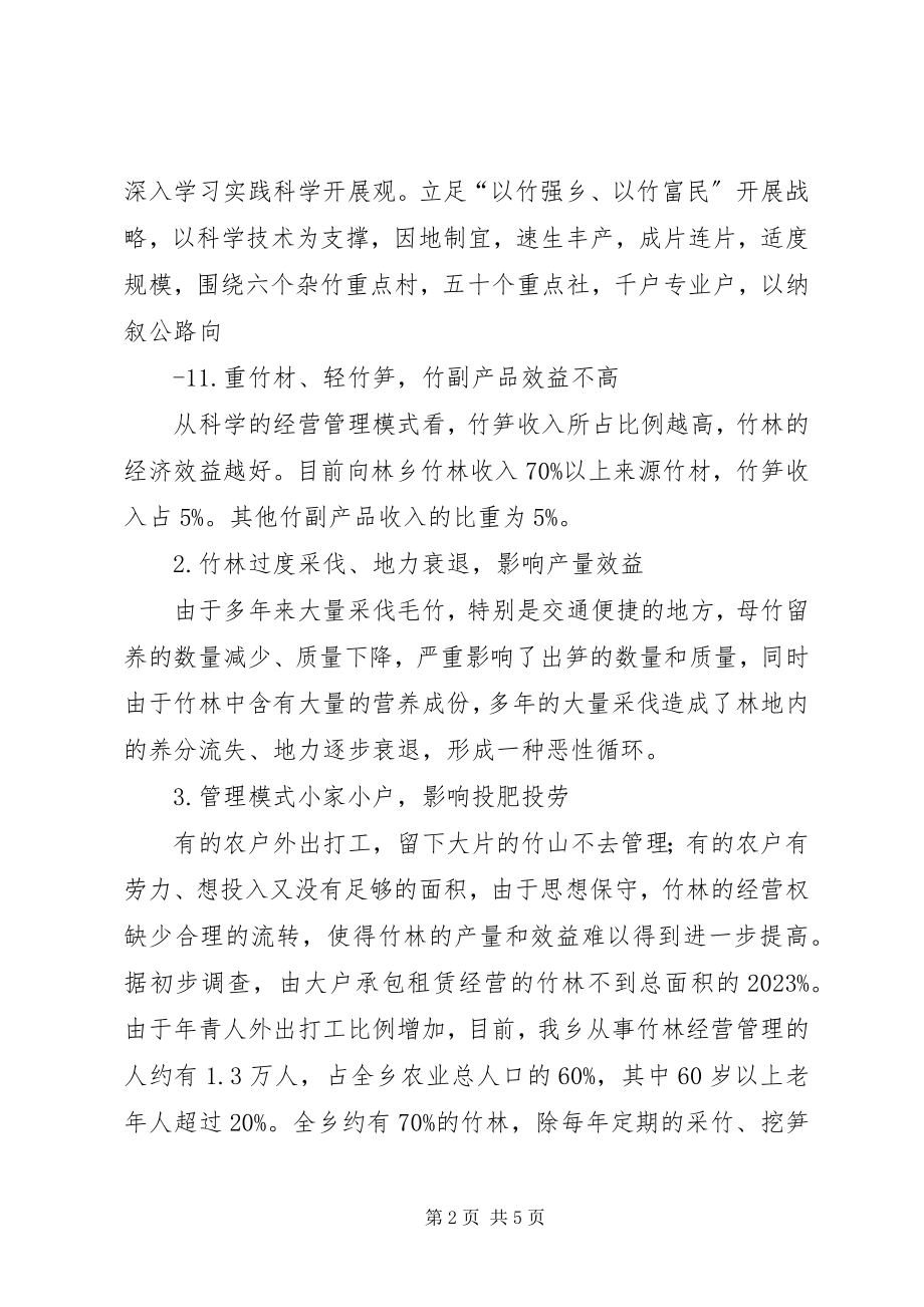 2023年XX县区竹产业发展对策新编.docx_第2页