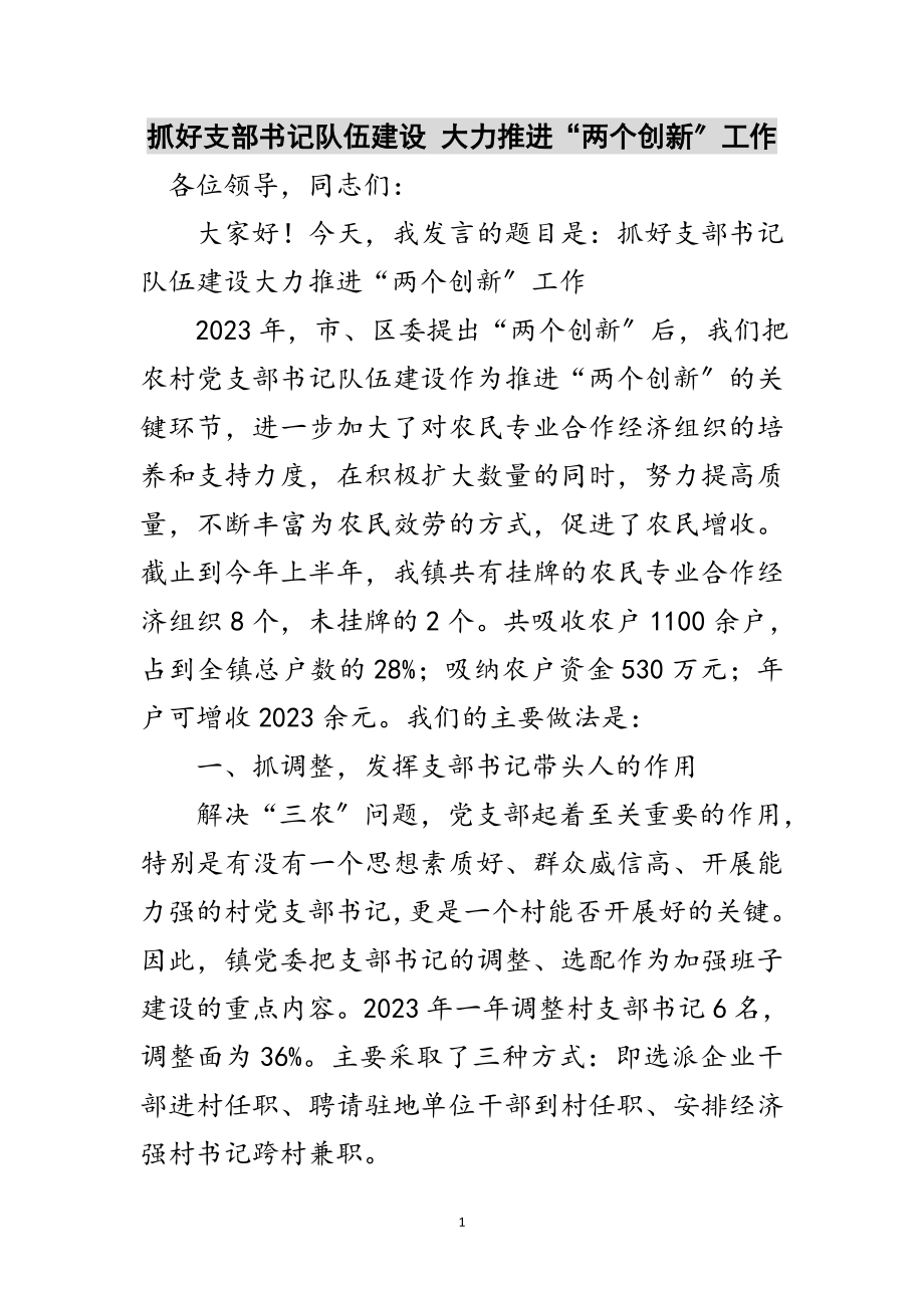 2023年抓好支部书记队伍建设 大力推进“两个创新”工作范文.doc_第1页