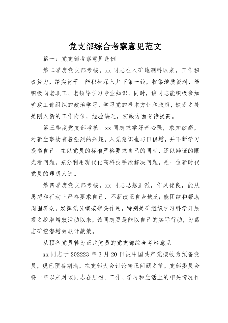 2023年党支部综合考察意见2.docx_第1页