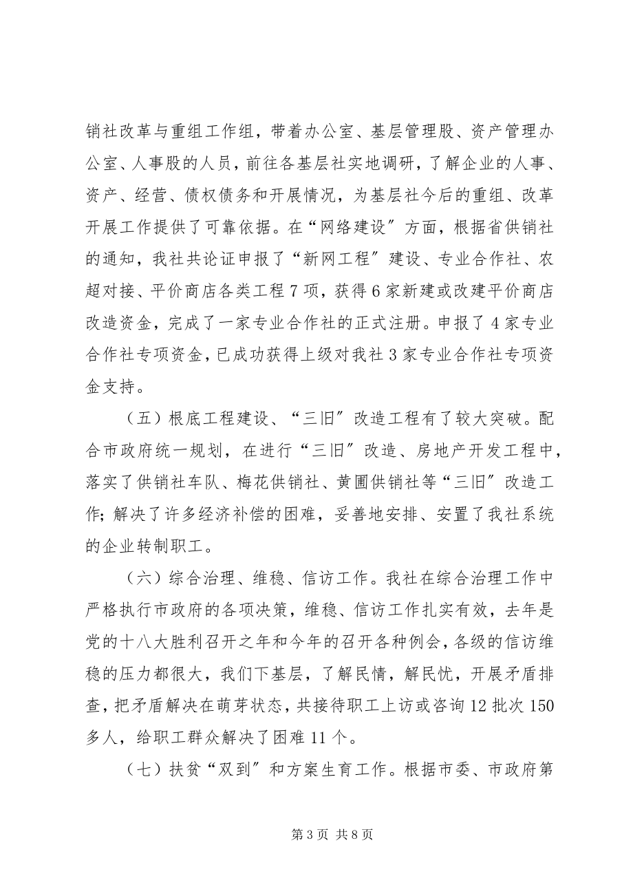 2023年供销社年度社会经济工作总结.docx_第3页