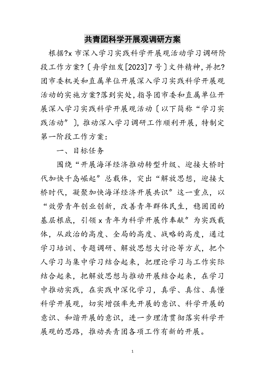 2023年共青团科学发展观调研计划范文.doc_第1页