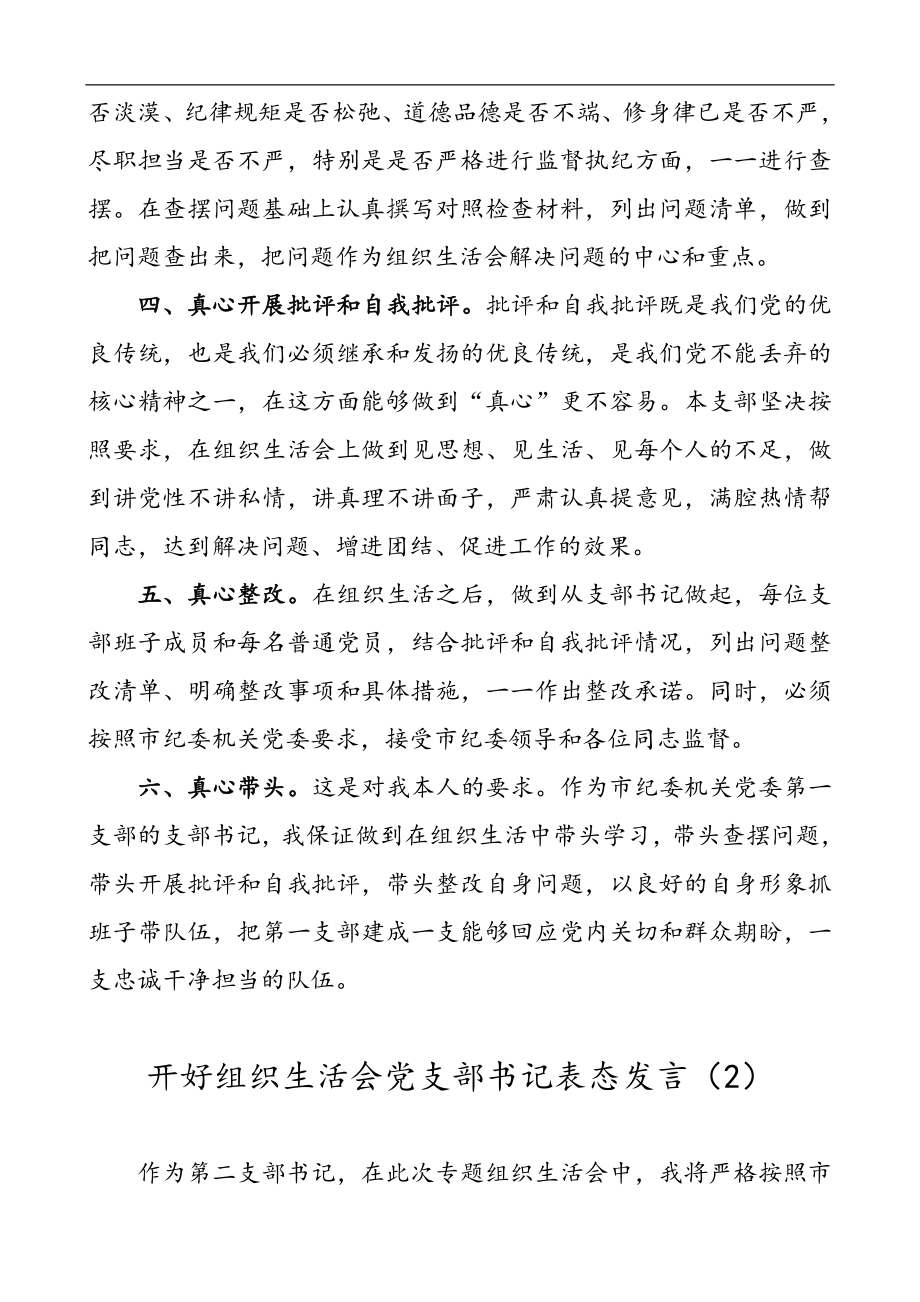 4篇开好组织生活会党支部书记表态发言.doc_第2页