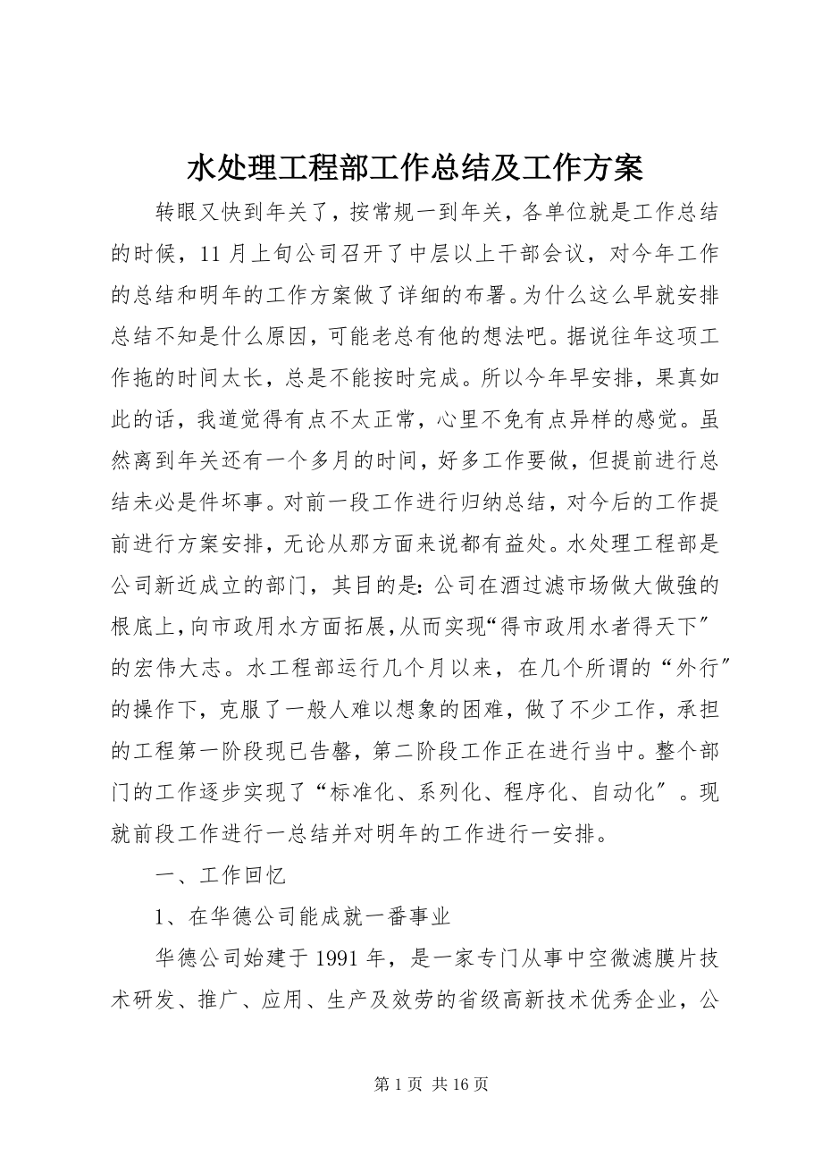 2023年水处理项目部工作总结及工作计划.docx_第1页