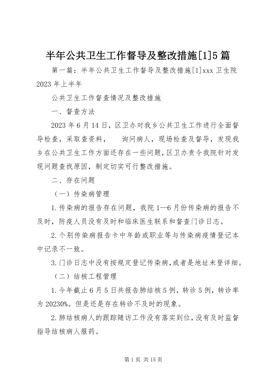 2023年半年公共卫生工作督导及整改措施5篇新编.docx_第1页