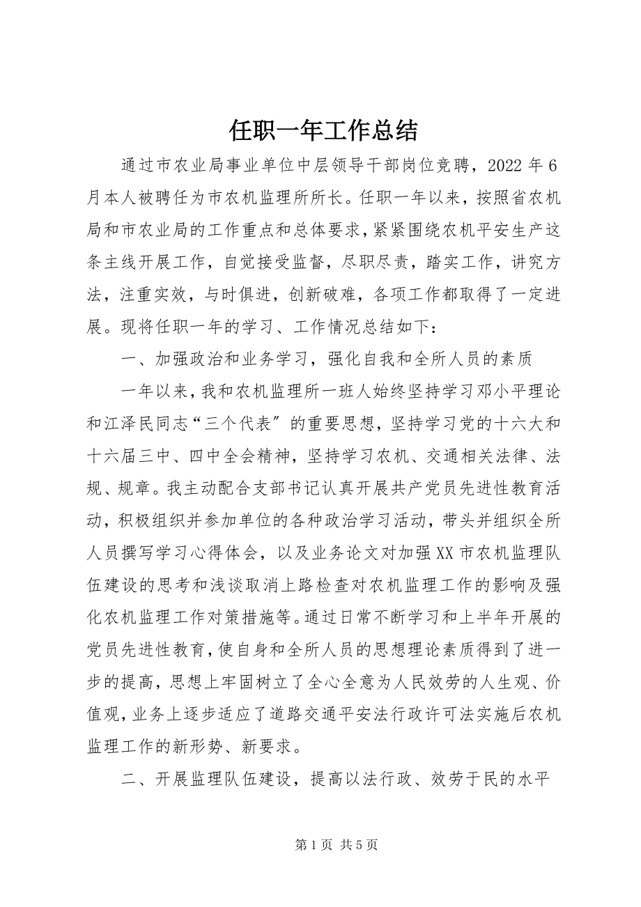 2023年任职一年工作总结.docx_第1页