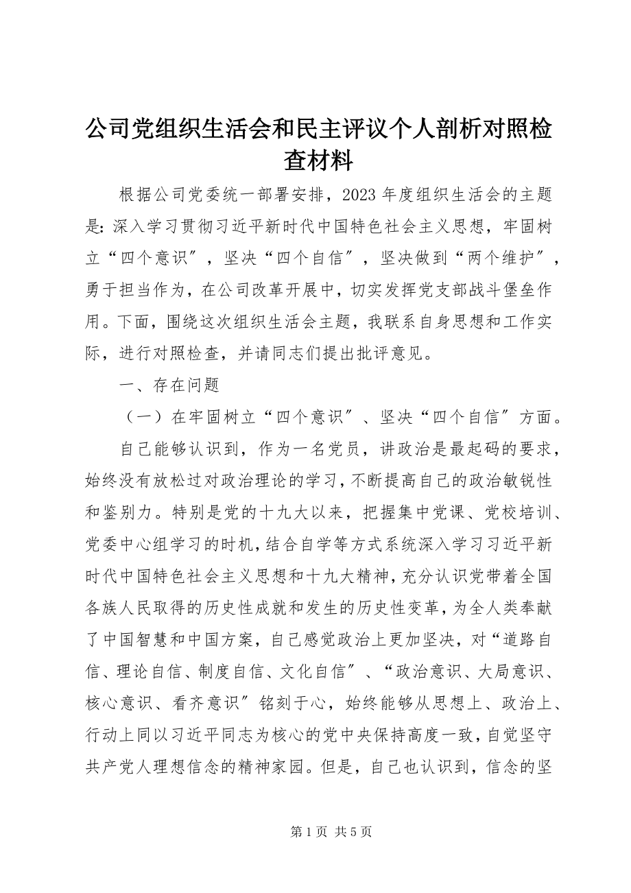 2023年公司党组织生活会和民主评议个人剖析对照检查材料.docx_第1页