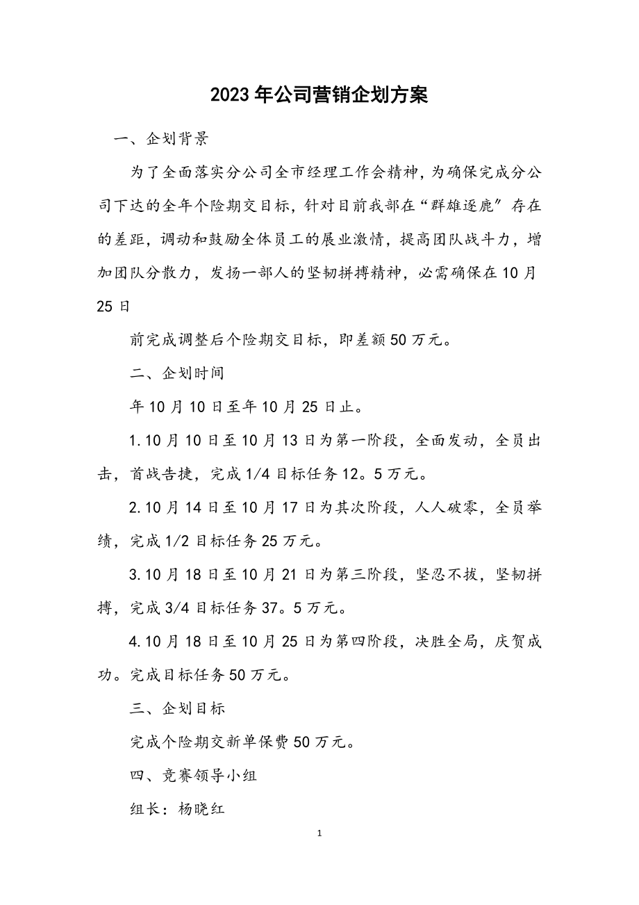 2023年公司营销企划方案.docx_第1页