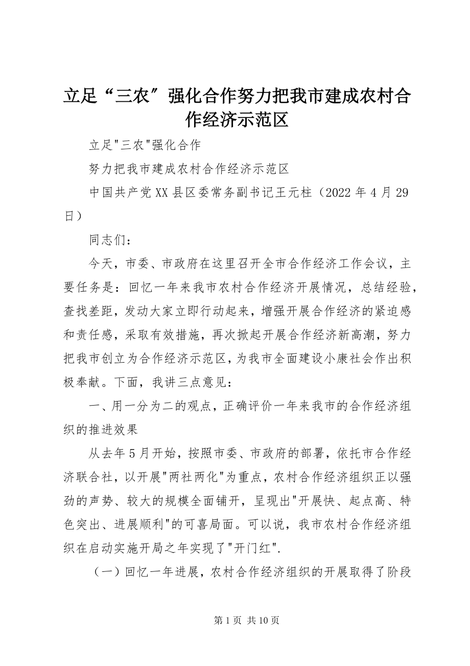 2023年立足“三农”强化合作努力把我市建成农村合作经济示范区.docx_第1页