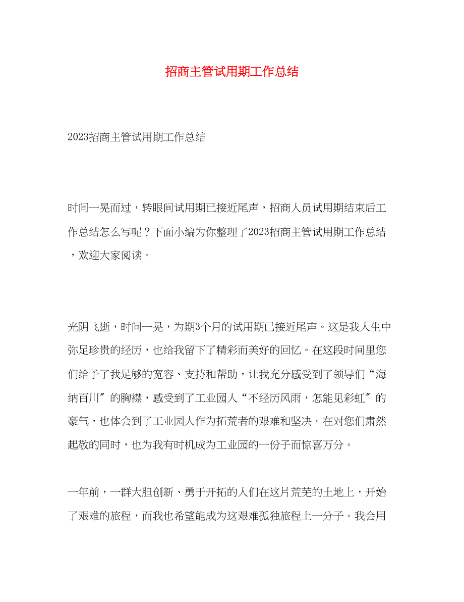 2023年招商主管试用期工作总结.docx_第1页