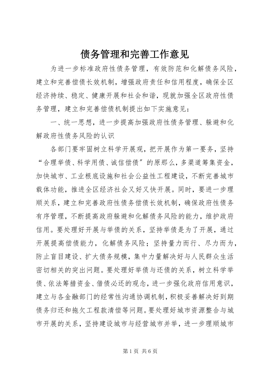 2023年债务管理和完善工作意见.docx_第1页