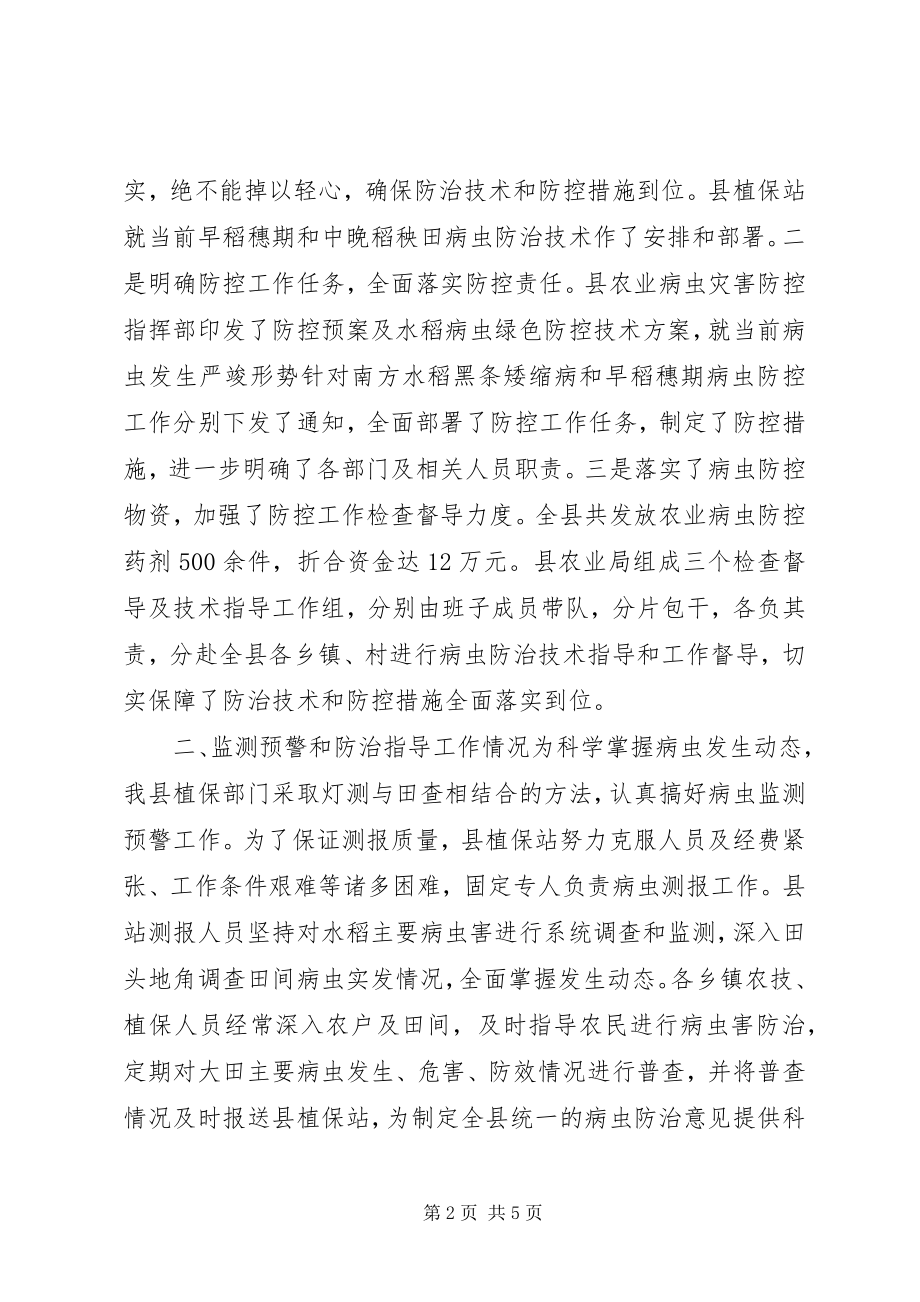 2023年xx县早稻病虫防控工作情况汇报.docx_第2页