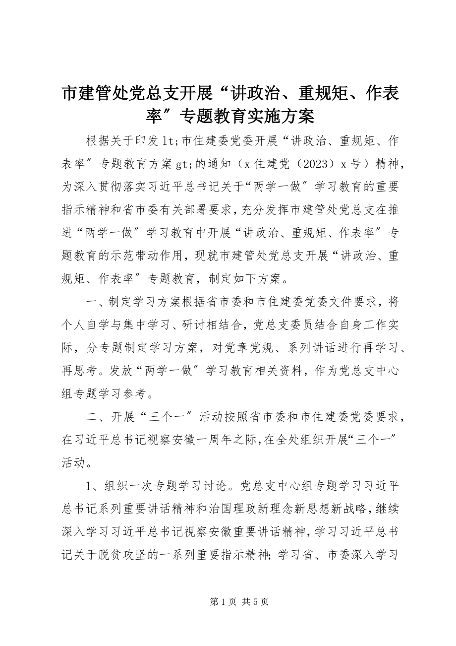 2023年市建管处党总支开展“讲政治重规矩作表率”专题教育实施方案.docx_第1页