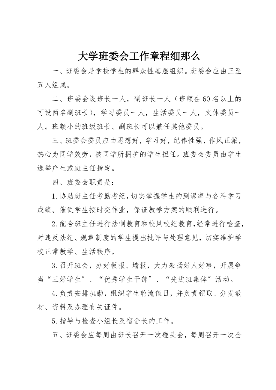 2023年大学班委会工作章程细则.docx_第1页