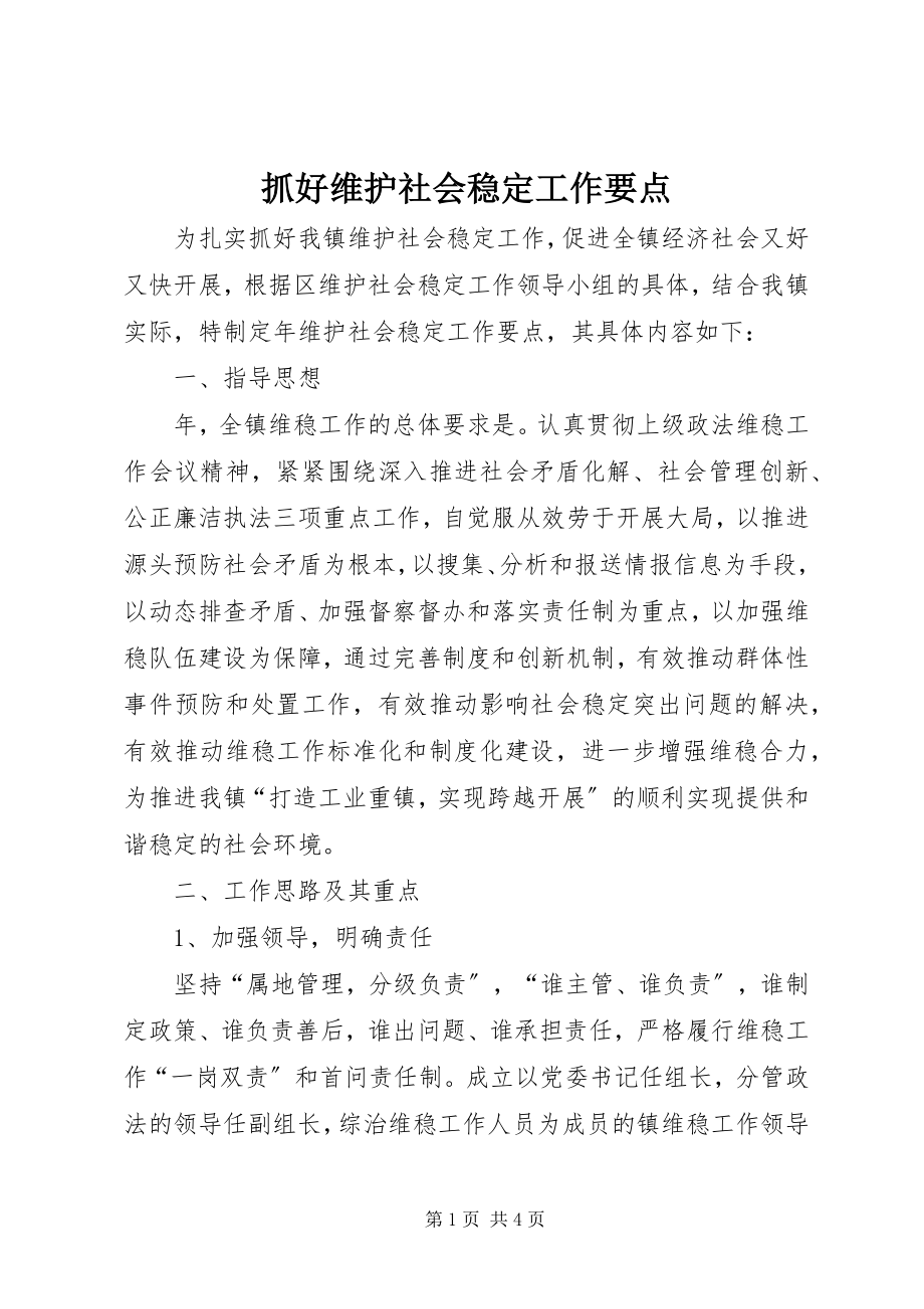 2023年抓好维护社会稳定工作要点.docx_第1页