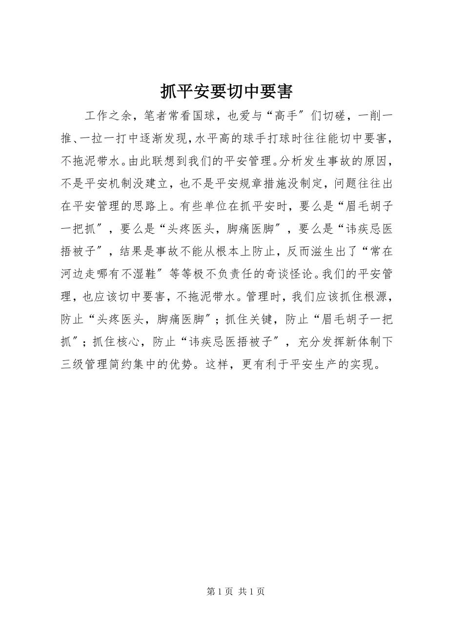 2023年抓安全要切中要害.docx_第1页