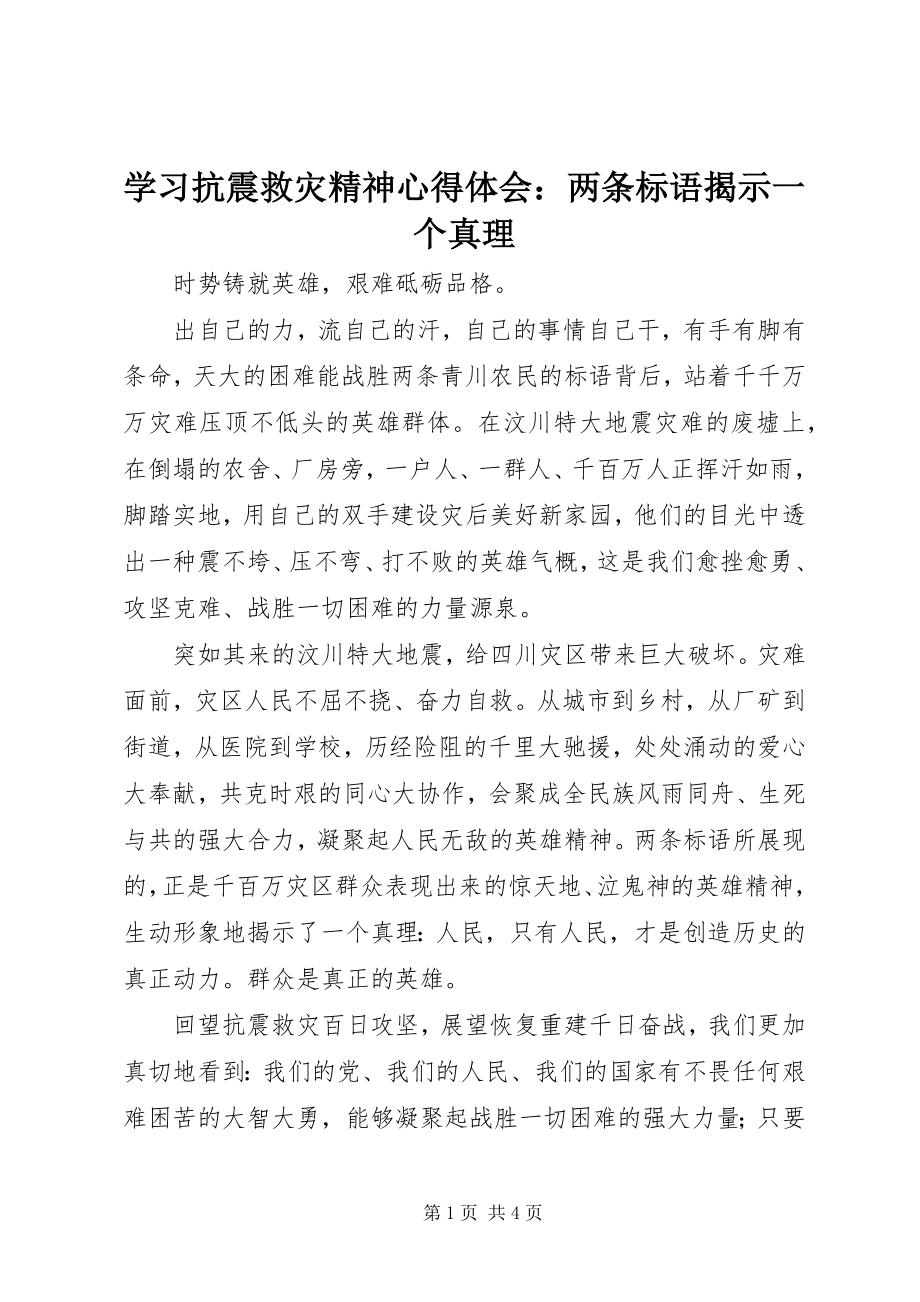 2023年学习抗震救灾精神心得体会两条标语揭示一个真理.docx_第1页