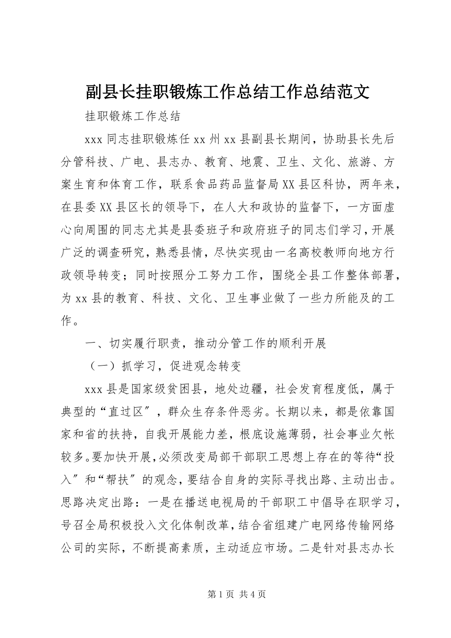 2023年副县长挂职锻炼工作总结工作总结.docx_第1页