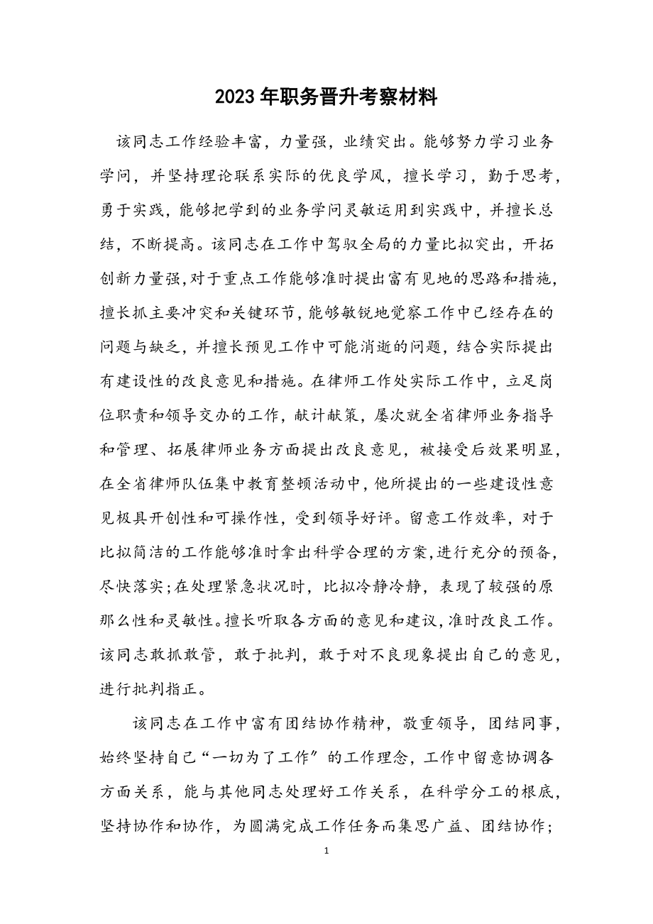 2023年职务晋升考察材料.docx_第1页