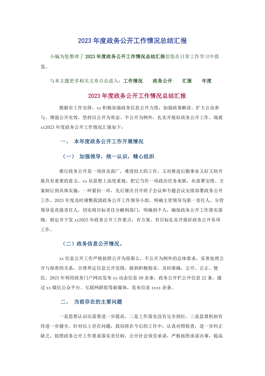 2023年度政务公开工作情况总结汇报.docx_第1页