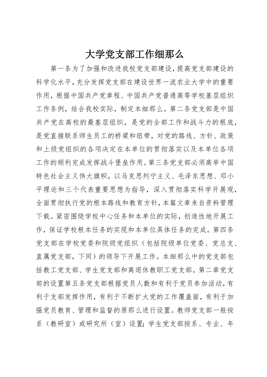 2023年大学党支部工作细则.docx_第1页