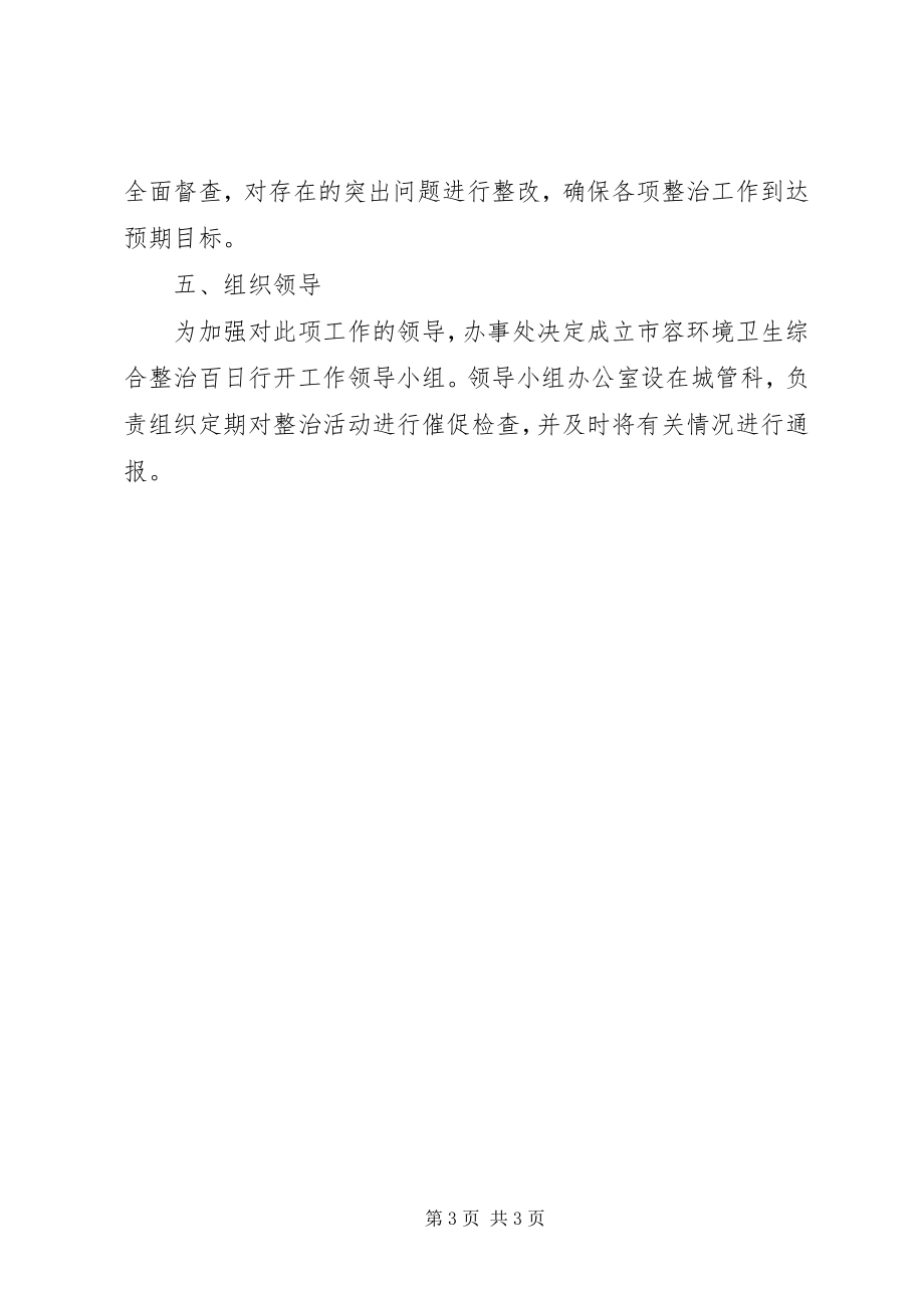 2023年市容环境卫生整治百日行动指导方案.docx_第3页