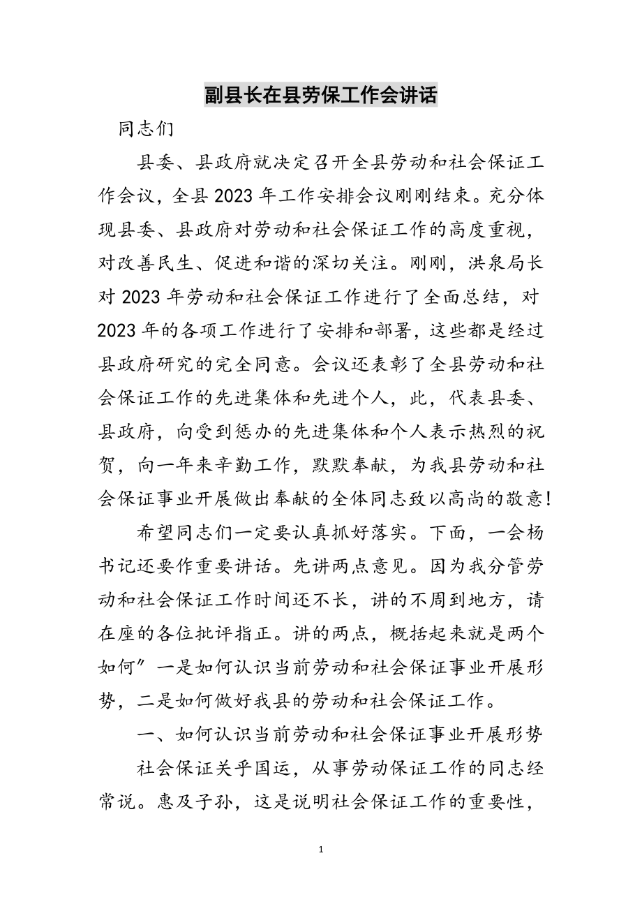 2023年副县长在县劳保工作会讲话范文.doc_第1页