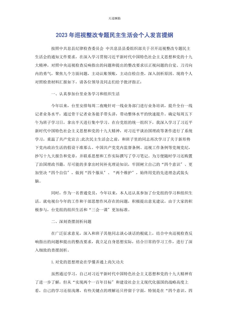 2023年巡视整改专题民主生活会个人发言提纲范文.docx_第1页