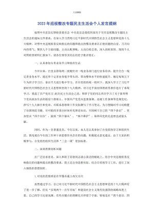 2023年巡视整改专题民主生活会个人发言提纲范文.docx