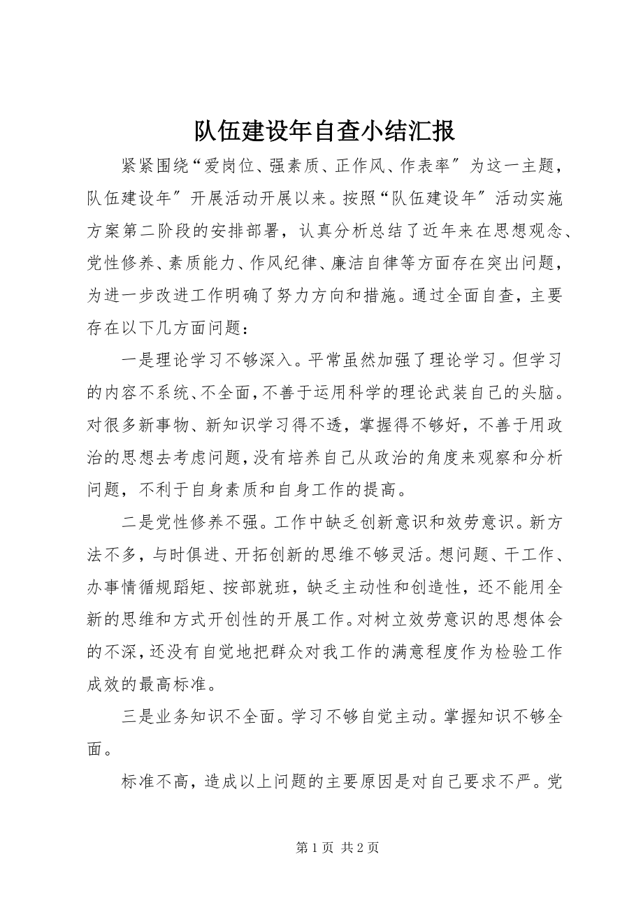 2023年队伍建设年自查小结汇报.docx_第1页