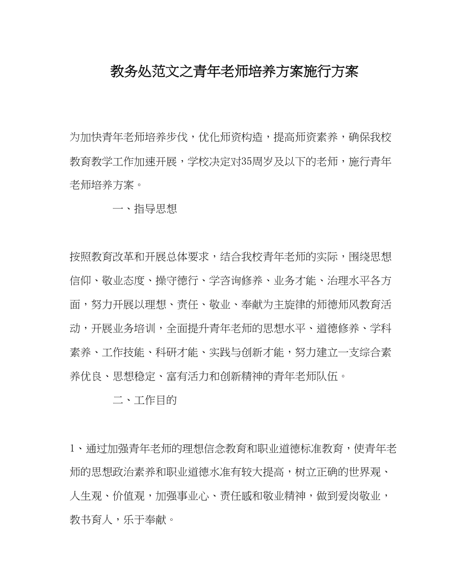 2023年教导处范文青年教师培养计划实施方案.docx_第1页