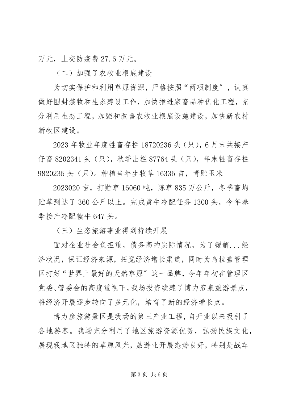 2023年管理区场长工作总结.docx_第3页