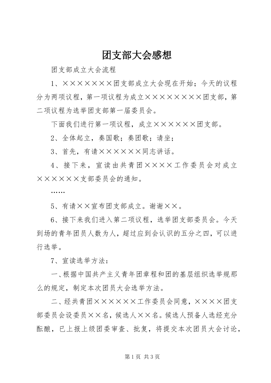 2023年团支部大会感想.docx_第1页