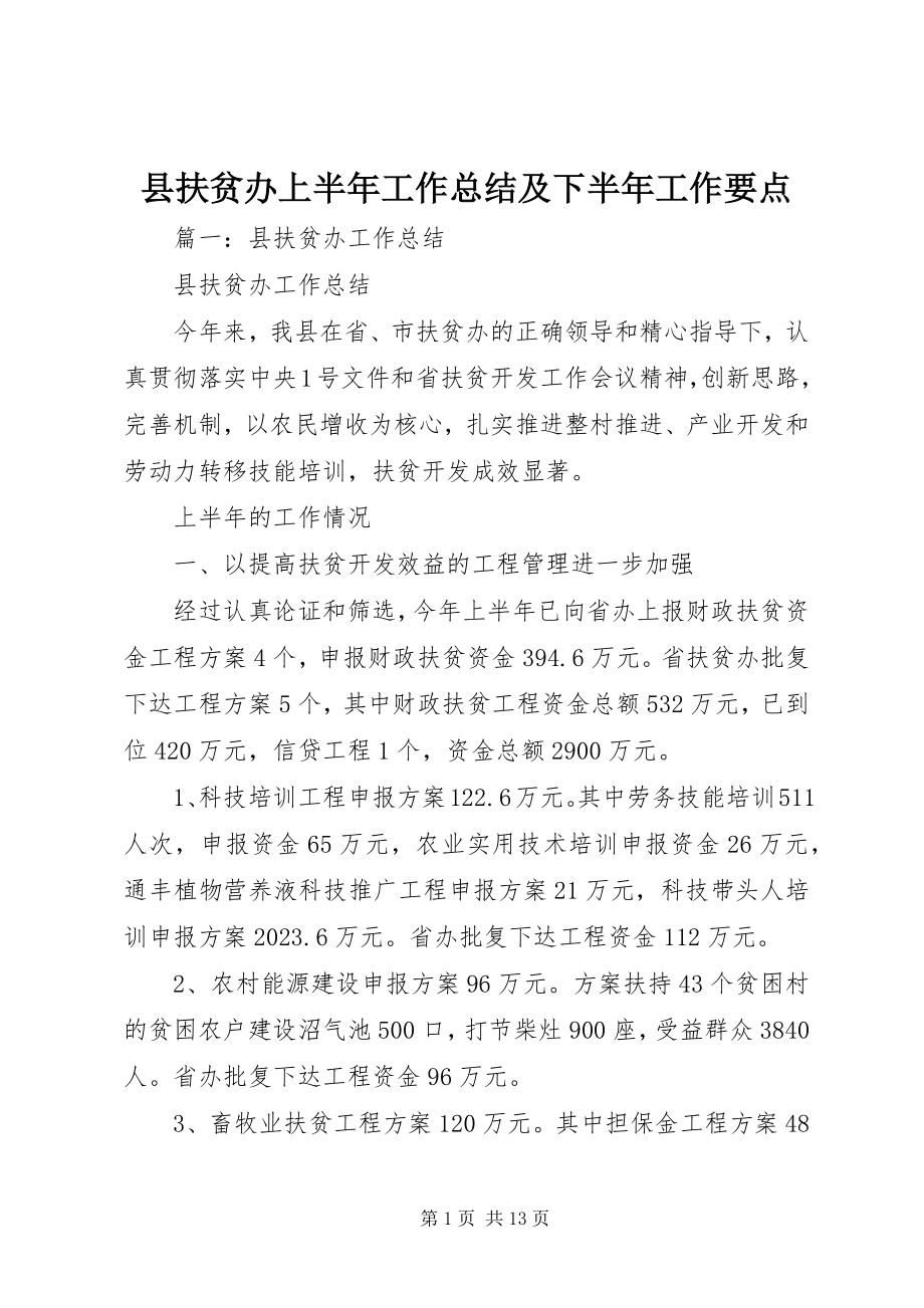 2023年县扶贫办上半年工作总结及下半年工作要点.docx_第1页