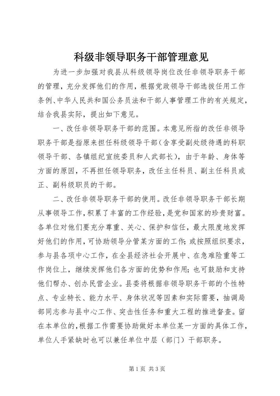 2023年科级非领导职务干部管理意见.docx_第1页