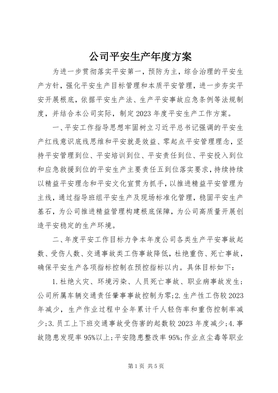 2023年公司安全生产年度计划.docx_第1页