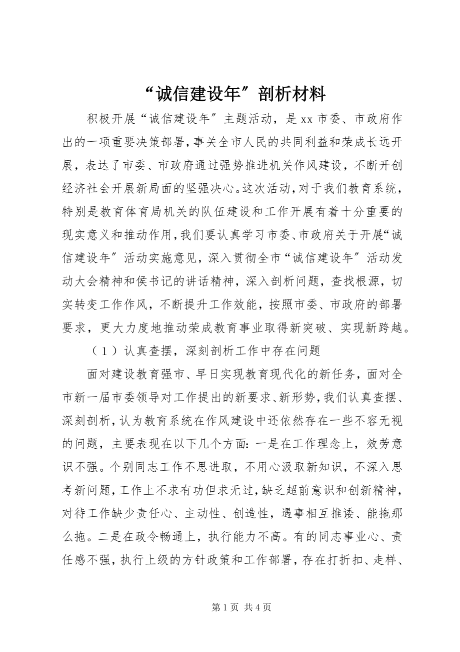 2023年“诚信建设年”剖析材料.docx_第1页