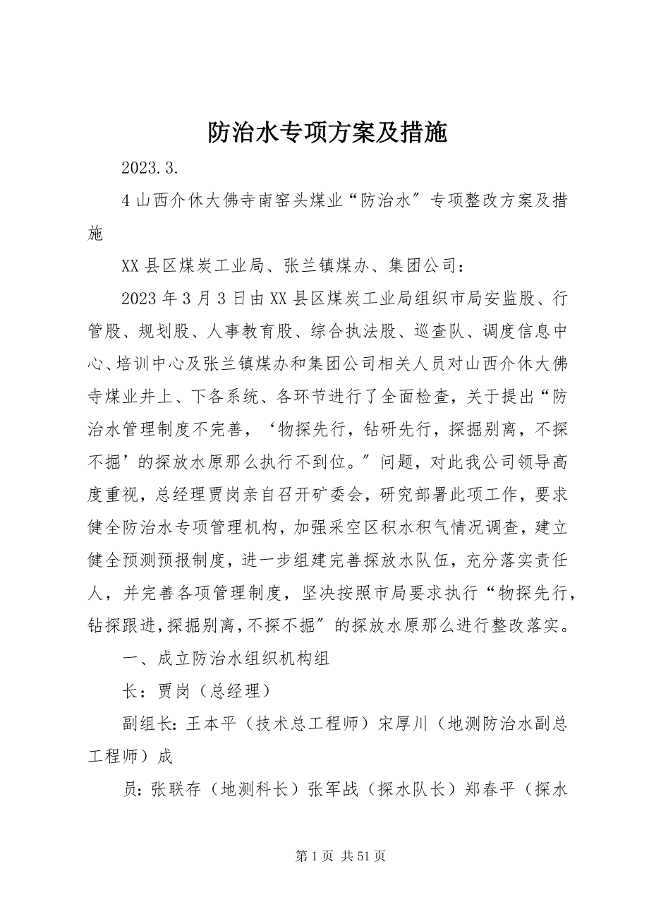 2023年防治水专项方案及措施.docx_第1页