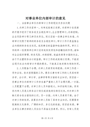 2023年对事业单位内部审计的意见.docx