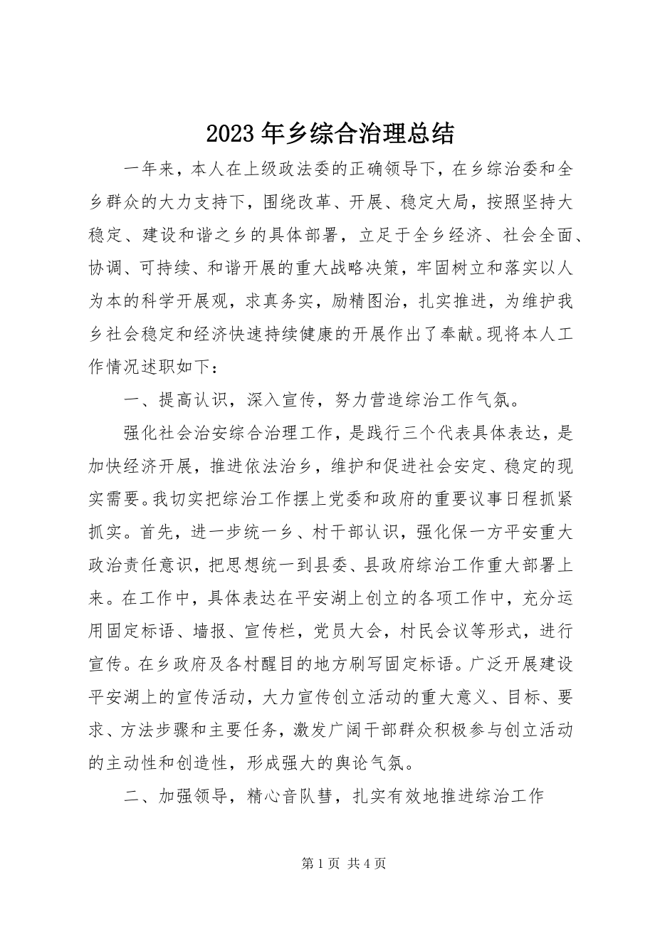 2023年乡综合治理总结2.docx_第1页