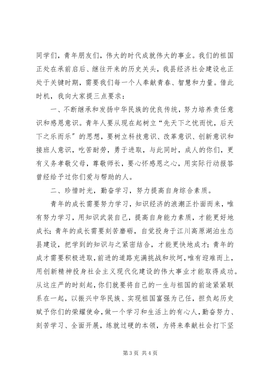 2023年团委书记讲话稿最终.docx_第3页