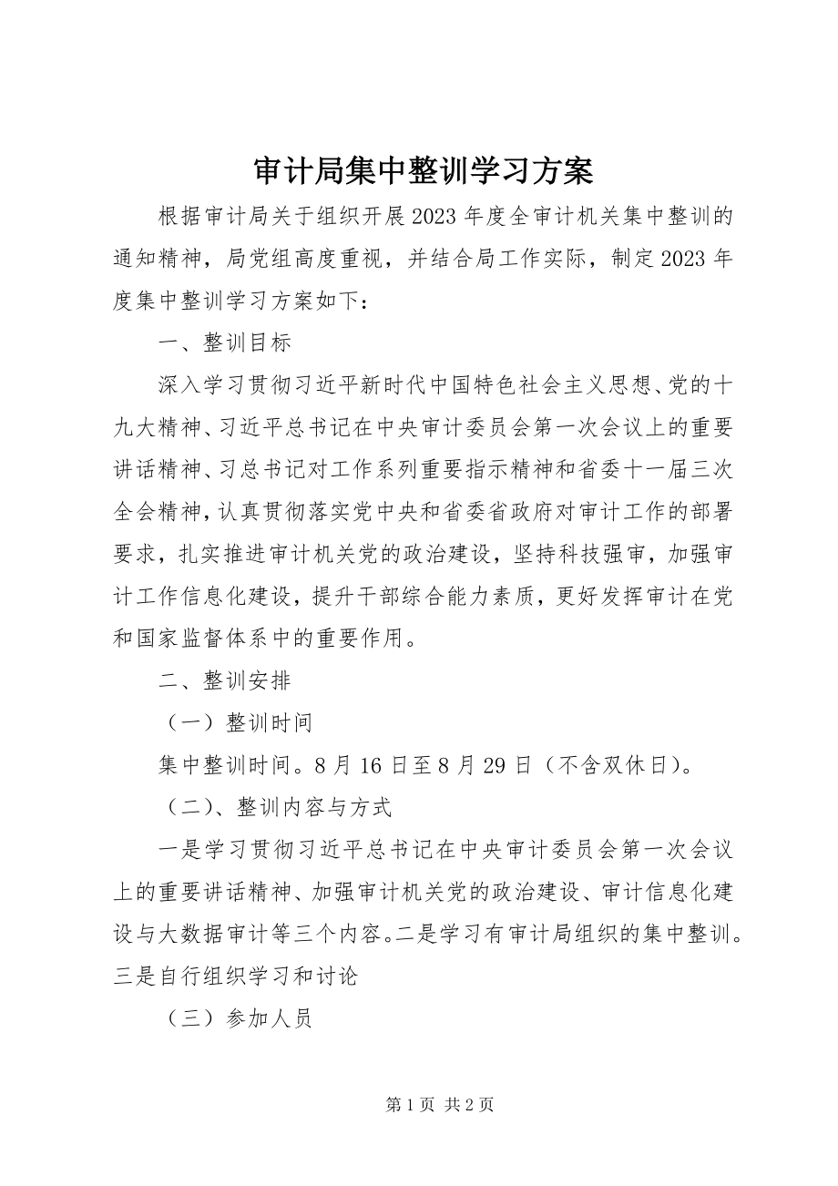 2023年审计局集中整训学习计划.docx_第1页