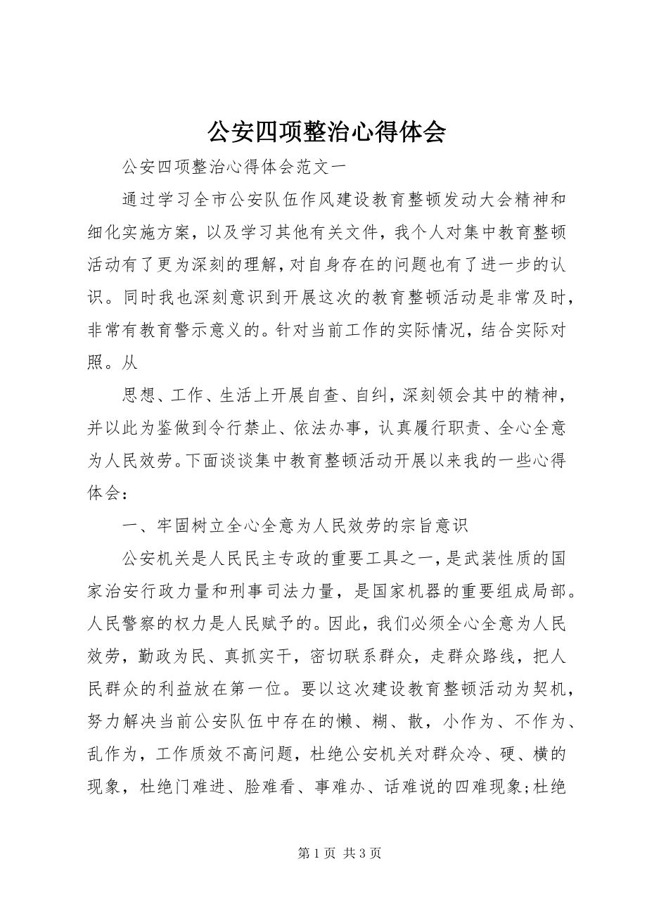 2023年公安四项整治心得体会.docx_第1页